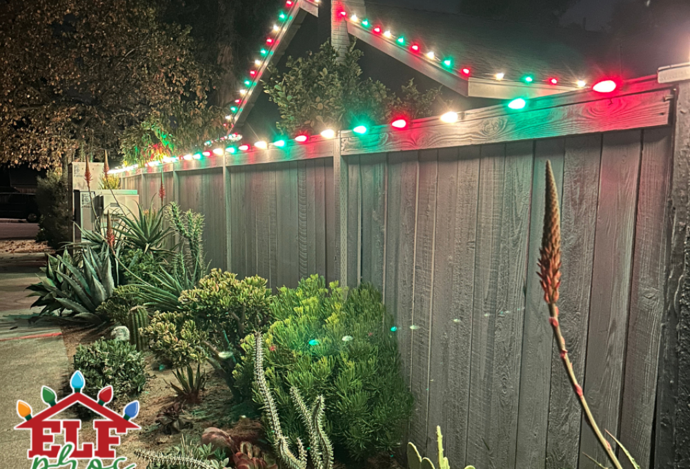 Elf Pros Mock Up (5)