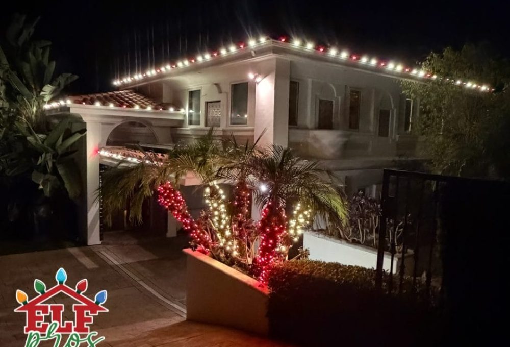 Elf Pros Mock Up Ruby